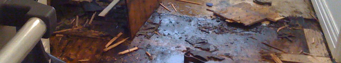 Banner of wood floor damage from leak