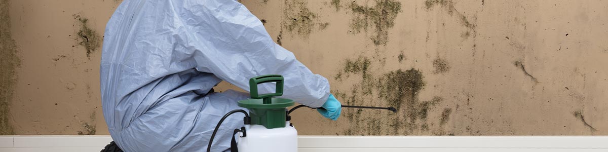 Mold Decontamination in Newtown