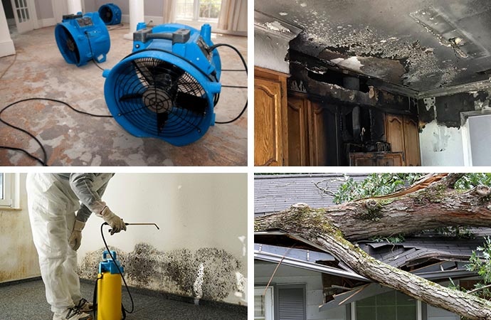 Fire, water, mold and storm damage scenarios