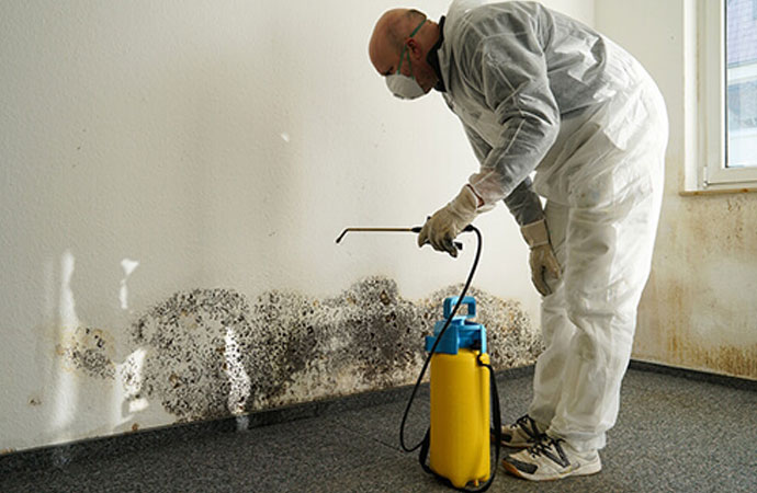 Mold remediation Greensboro NC