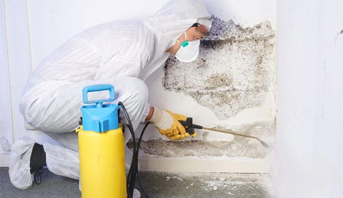 Professional worker removing mold from the wall in a commercial space