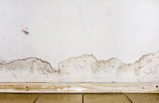 flooding rainwater or floor heating systems causing mold damage removal