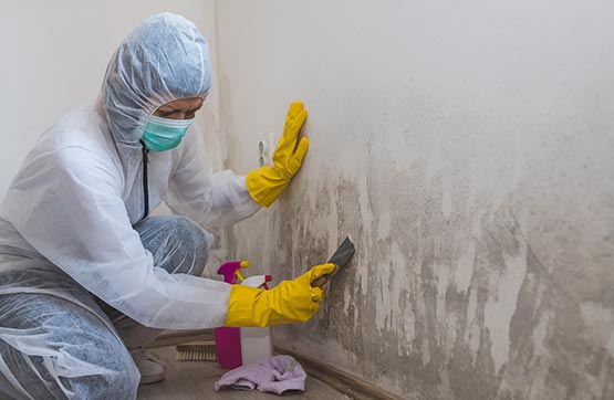 man wear uniform black mold removal service