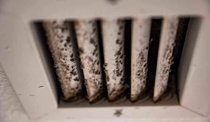 Close up view of mold growth on HVAC system