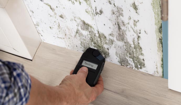 Professional worker testing mold using equipment