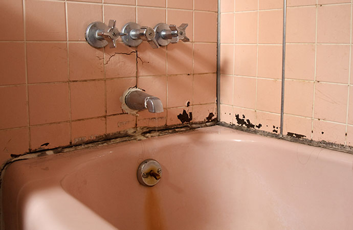 Cause of bathroom Mold