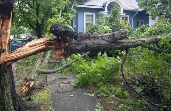 Post Storm Clean Up