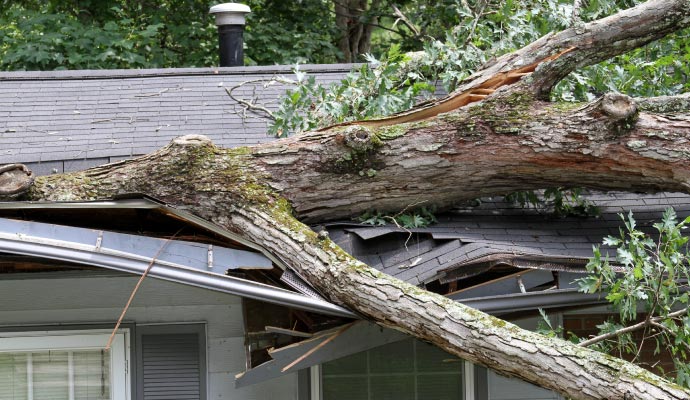 Tree fallen on a house roof causing damage