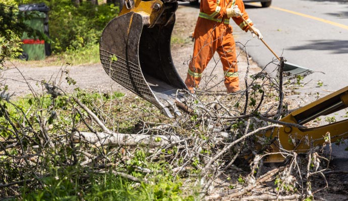 Professional storm damage restoration
