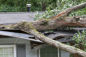 Hail Storm Damage