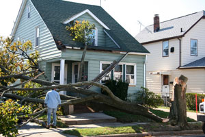 wind-damage-2