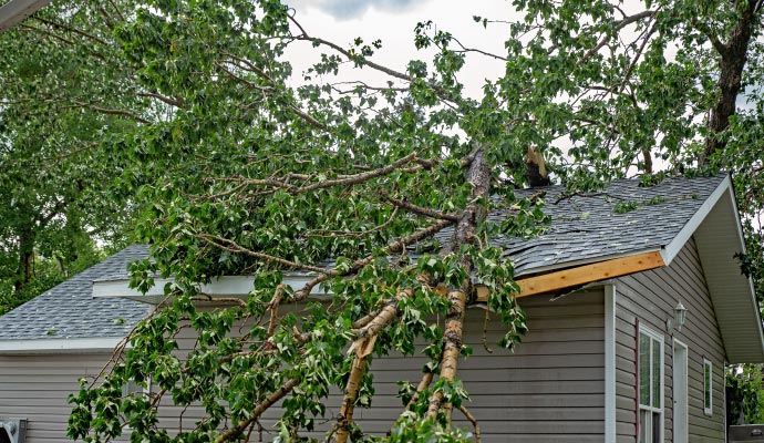 A fallen tree inflicted wind damage on a house.