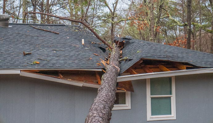 Wind Damage Restoration in Newtown & Danbury
