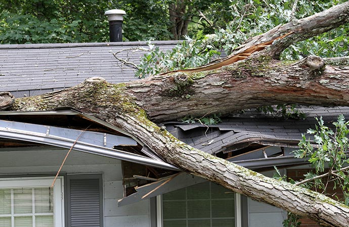 Storm damaged roof