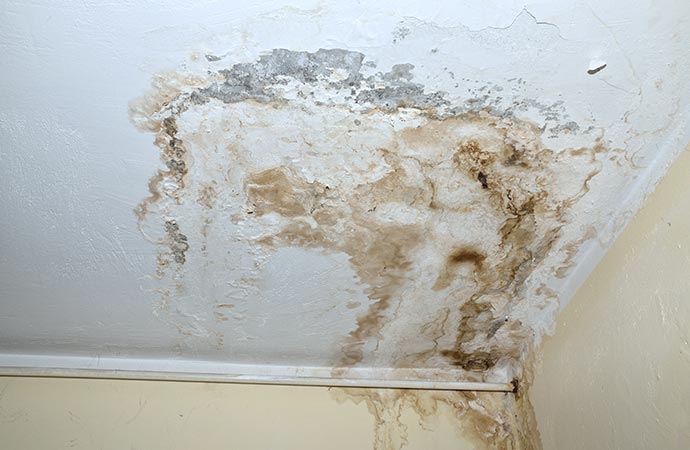water leak mold on ceiling