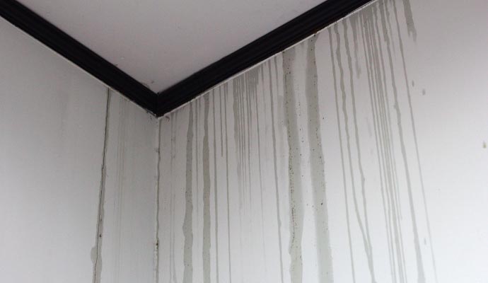 Close-up view of water stained wall