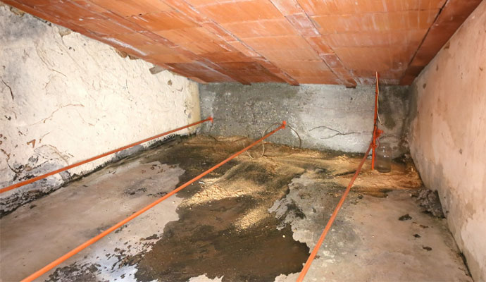 wet water damaged attic in Newtown & Danbury
