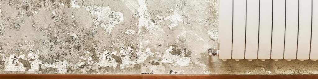 banner-warping-of-the-walls